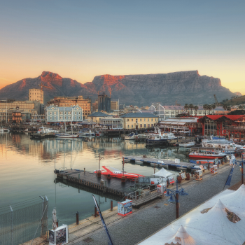 Untitled design (19)